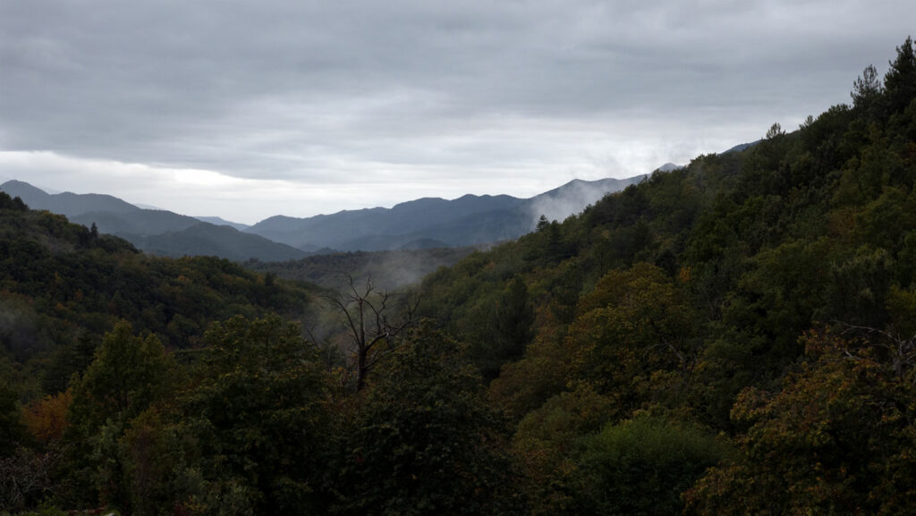 Vallée du Taravu vu de Scrivanu / Rina Sherman