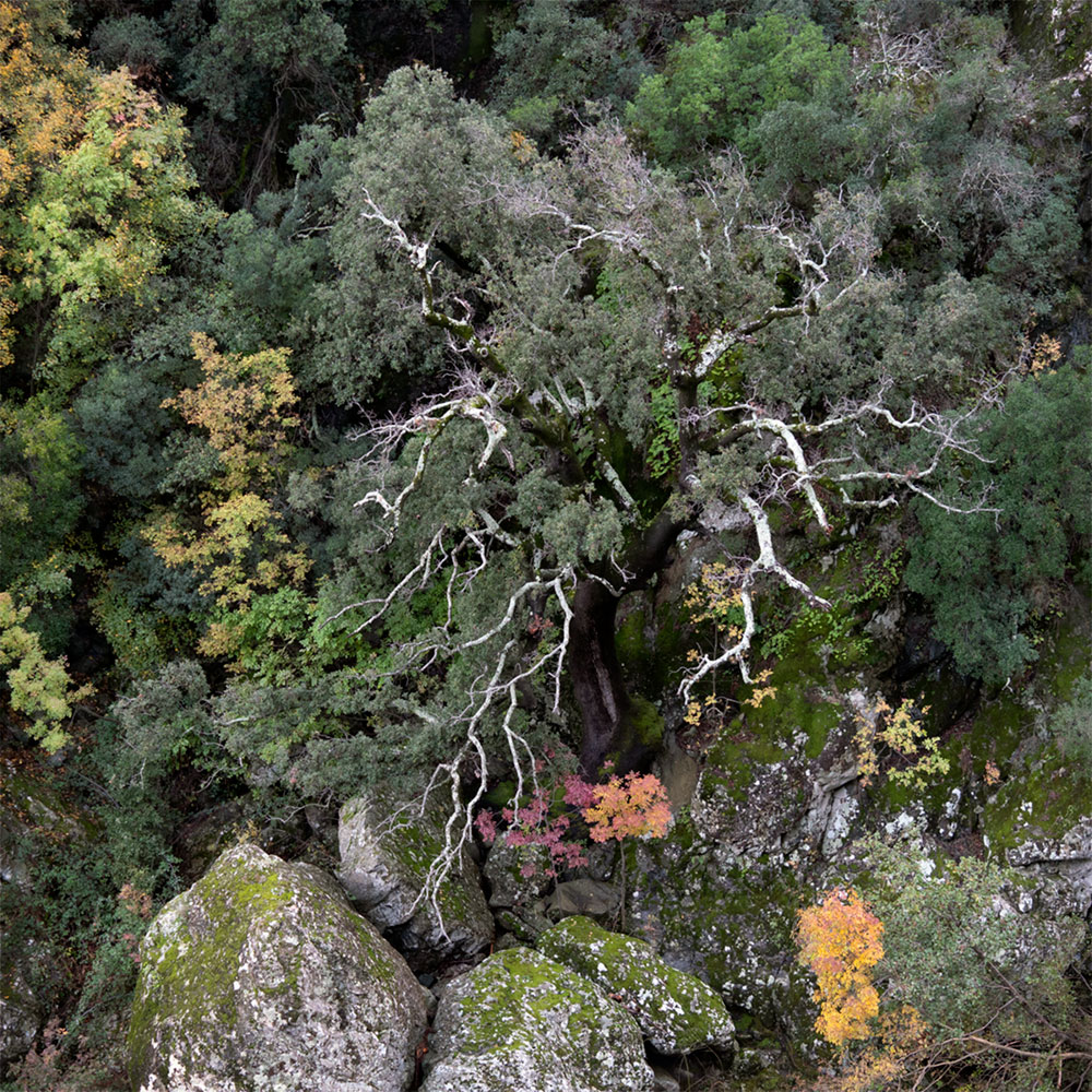 Flanc de montagne, fleuve Fium’Orbu / Rina Sherman