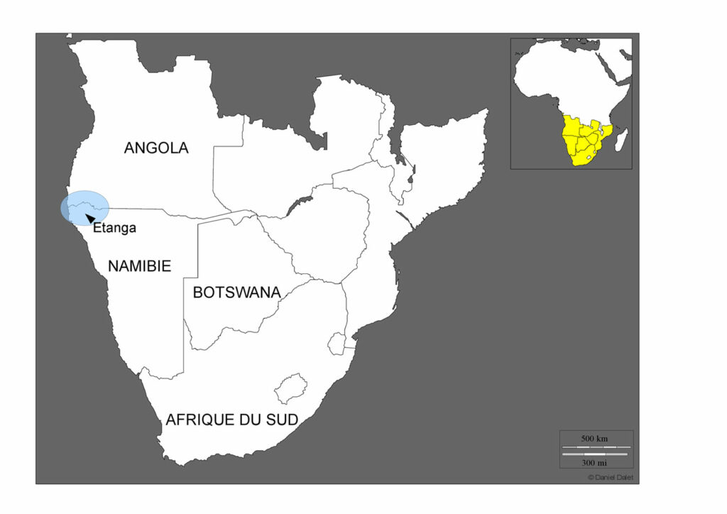 Afrique Australe - Southern Africa BNF Exhibition