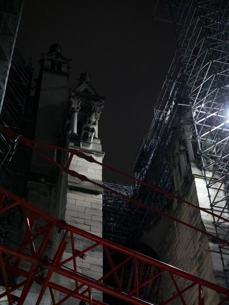Notre-Dame / Rina Sherman